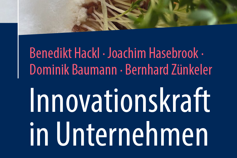Buchcover Innovationskraft in Unternehmen