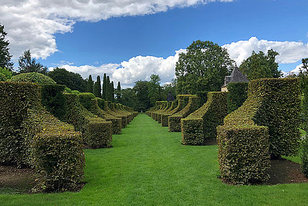 Garten mit quadratisch gestutzten Hecken
