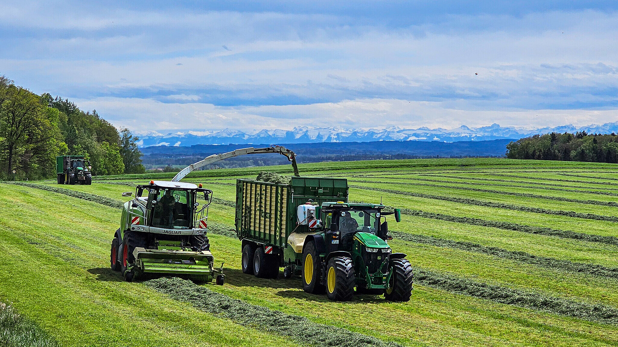 Landwirtschaft im Allgäu