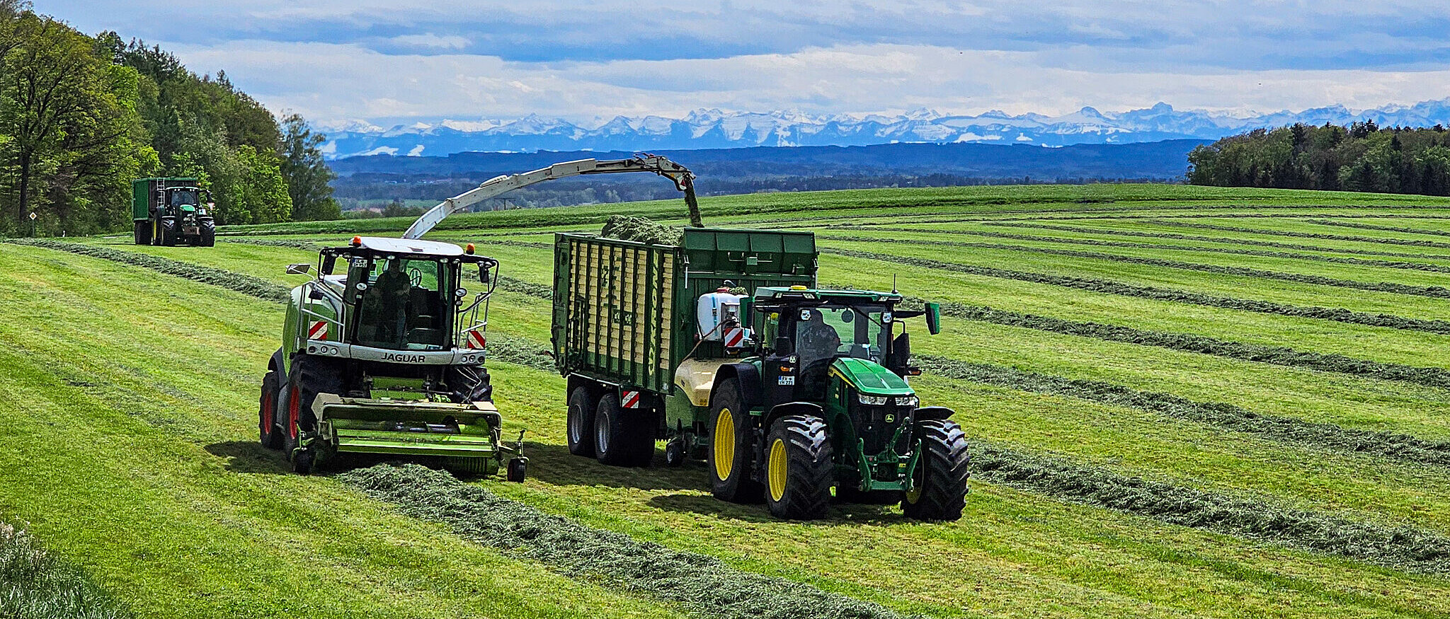 Landwirtschaft im Allgäu