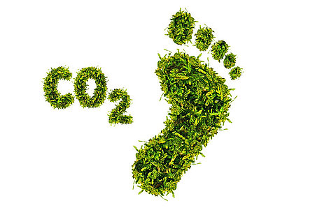 Grafik mit Fußabdruck aus Gras