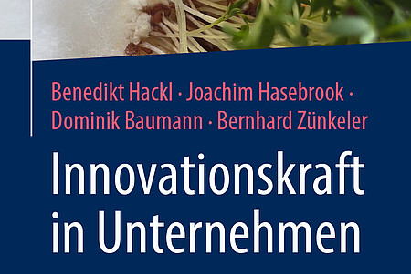 Buchcover Innovationskraft in Unternehmen